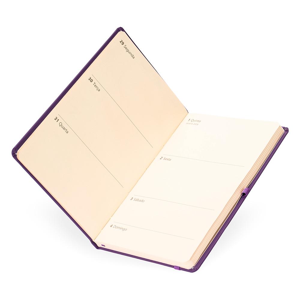 Planner Cromato Anual - Imagem 6